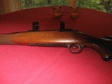 Ruger M77 Hawkeye .257 Roberts - 8 of 10