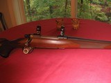 Ruger M77 Hawkeye .257 Roberts - 4 of 10