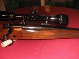 Winchester Model 70 in .243 with 3-9x40 Bushnell scope - 3 of 12
