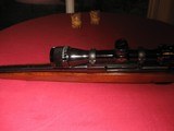 Winchester Model 70 in .243 with 3-9x40 Bushnell scope - 10 of 12