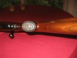 Winchester Model 70 in .243 with 3-9x40 Bushnell scope - 12 of 12