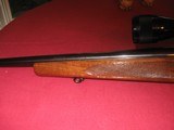Winchester Model 70 in .243 with 3-9x40 Bushnell scope - 8 of 12