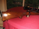 Winchester Model 70 in .243 with 3-9x40 Bushnell scope - 2 of 12