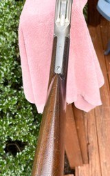 Winchester Model 1887 - 12 of 15