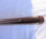 Ruger M77 Hawkeye .243 50th Anniversary Engraved 1 of 1000 - 4 of 15