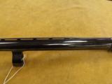 Browning, Auto-5 Magnum,12 Ga.,30'-3