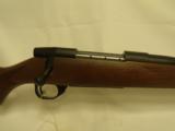 Weatherby Vanguard 
