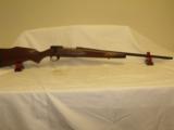Weatherby Vanguard 