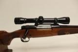Winchester 70 "Featherweight" .308 Win - 8 of 11