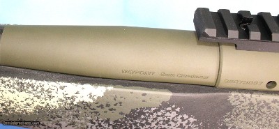 SPRINGFIELD 2020 WAYPOINT 6MM CM 20