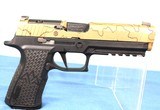 SIG SAUER P320 X10 ENDURE 320X5-10-CXR3-CW-R2 - 20 of 25