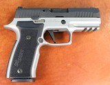 SIG SAUER P320 AXG TWO TONE 9MM 320AXGCA-9-RTXR3-R2 - 21 of 25