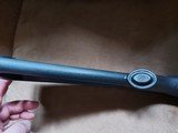 Ruger 10/22 - 13 of 14