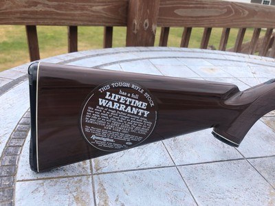 RARE!! Remington Nylon 66 SHORT Gallery special - Image 2 of 9