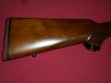 Ruger 77 Heavy bbl .25-06 SOLD - 3 of 9