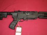 Ruger 10/22 in Archangel stock SOLD - 1 of 12