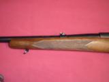 Winchester Model 70 .257 Robts.SOLD - 6 of 11