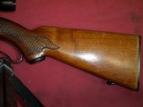 SOLD Winchester Model 88 .243 SOLD - 4 of 10