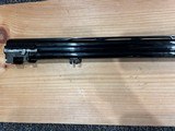 Caesar Guerini Tempio | 20 Gauge | 30