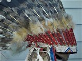 Cheyenne War Bonnet museum quality - 4 of 14