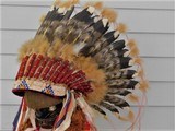 Cheyenne War Bonnet museum quality - 3 of 14