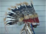 Cheyenne War Bonnet museum quality - 5 of 14