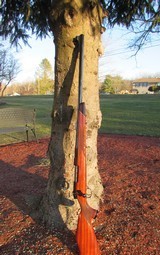 Collector Weatherby Mark V 460-W Germany - 6 of 12