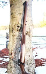 Sakop Bavarian Carbine-260 Remington - 10 of 11