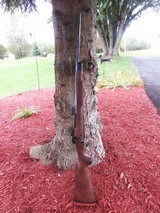 Win Supergrade 257 Roberts 1 of 500 - 12 of 12