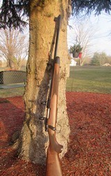 Custom Remington 700 in 350 Rem Mag - 3 of 8