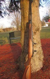 Custom Remington 700 in 350 Rem Mag - 5 of 8