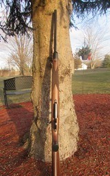 Custom Remington 700 in 350 Rem Mag - 4 of 8