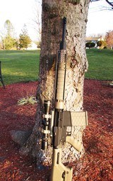 Custom AR-10 308 - 6 of 7