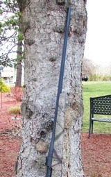 Weatherby Custom Shop Lightweight Outfitter in 300 Wby - 7 of 12