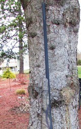 Weatherby Custom Shop Lightweight Outfitter in 300 Wby - 8 of 12