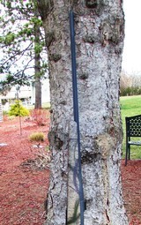 Weatherby Custom Shop Lightweight Outfitter in 300 Wby - 10 of 12