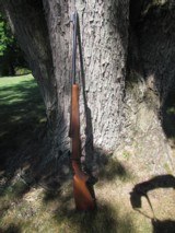 CZ 550 Safari in 458 Win Mag - 6 of 8