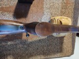 CZ 557 Varmint .243 Win - 11 of 15