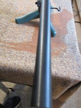 Tikka T3x Hunter .243 Win. - 14 of 15