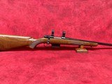 CZ USA 527 American 204 Ruger Blued 22” Set Trigger w/ 1" Rings
