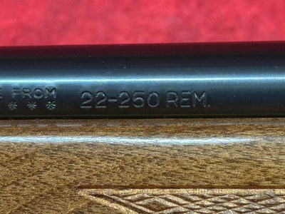Remington 700 BDL 22-250 Rem. 24" Barrel - Image 13 of 15