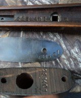 Savage 1899 250-3000 with 410 barrel - 15 of 15