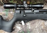 Umarex Gauntlet 22 with Bushnell 3x12x40 scope - 6 of 13