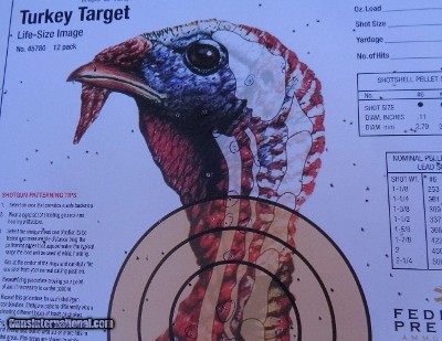 Stevens 301 Turkey XP 20ga with 26