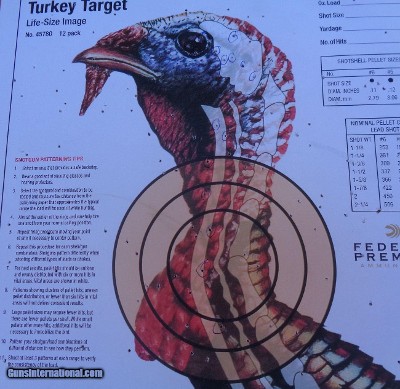 Stevens 301 Turkey XP 20ga with 26