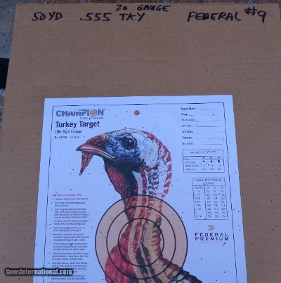 Stevens 301 Turkey XP 20ga with 26