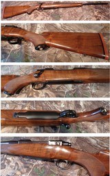 Ruger M77 rifle in 7x57 with desirable tang safety and red Ruger logo pad 77