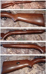 Winchester 74 22LR with 22