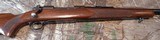 Pre 64 Winchester Model 70 in 257 Roberts with 24