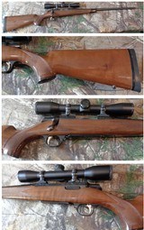 Browning A-Bolt Medallion in 22 Hornet with a Bushnell Banner Wide Angle scope - 1 of 12